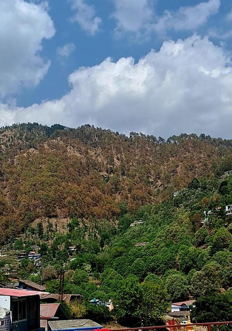 Homestay Pathgami Kainchi Dhaam